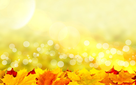 890141 (a): :2880x1800
